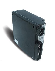 CENTRALITA BIVALENTE - M&OacuteDULO ELECTR&OacuteNICO SECOP 12/24VDC 110/240VAC